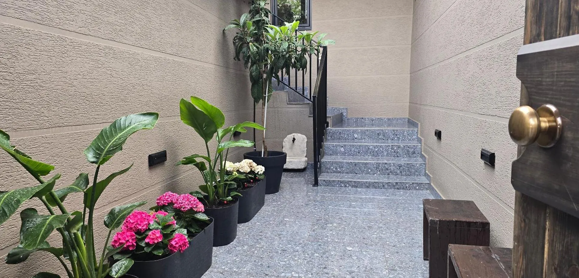 Hotel Rooms At Mimosa Street Tirana